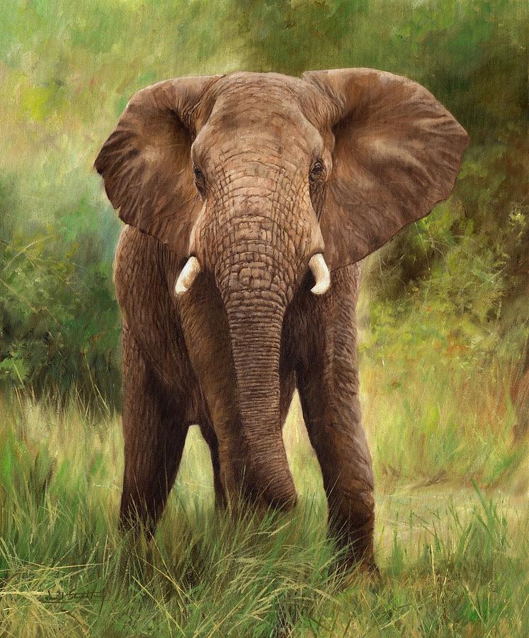 747x900 African Elephant Painting By David Stribbling - African Elephant Painting