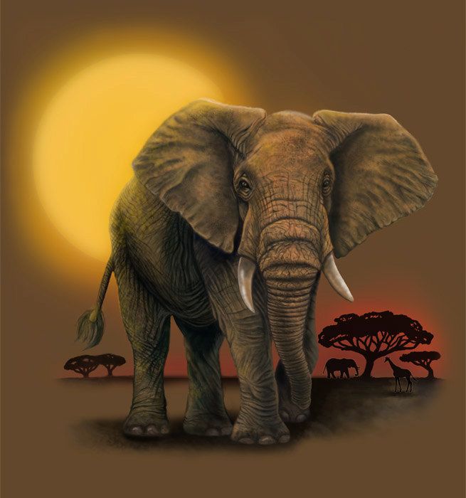 655x700 African Elephant Print Elephant Paintings, African - African Elephant Painting