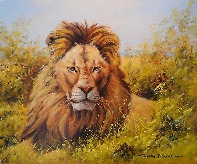 African Lion Painting
