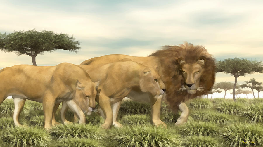 900x503 African Lion Pride Painting By Walter Colvin - African Lion Painting