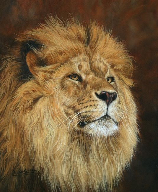 535x650 African Lion Painting By David Stribbling - African Lion Painting