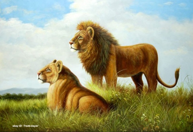 640x436 Art Oil Painting Animals African Lion Couple Ii 100% Free - African Lion Painting