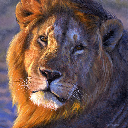 500x500 Lion Original Paintings And Limited Edition Giclee Prints - African Lion Painting