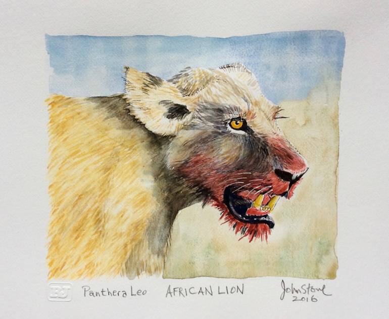 770x631 Saatchi Art African Lion Painting By Ray Johnstone - African Lion Painting