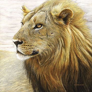 366x365 African Lion - African Lion Painting