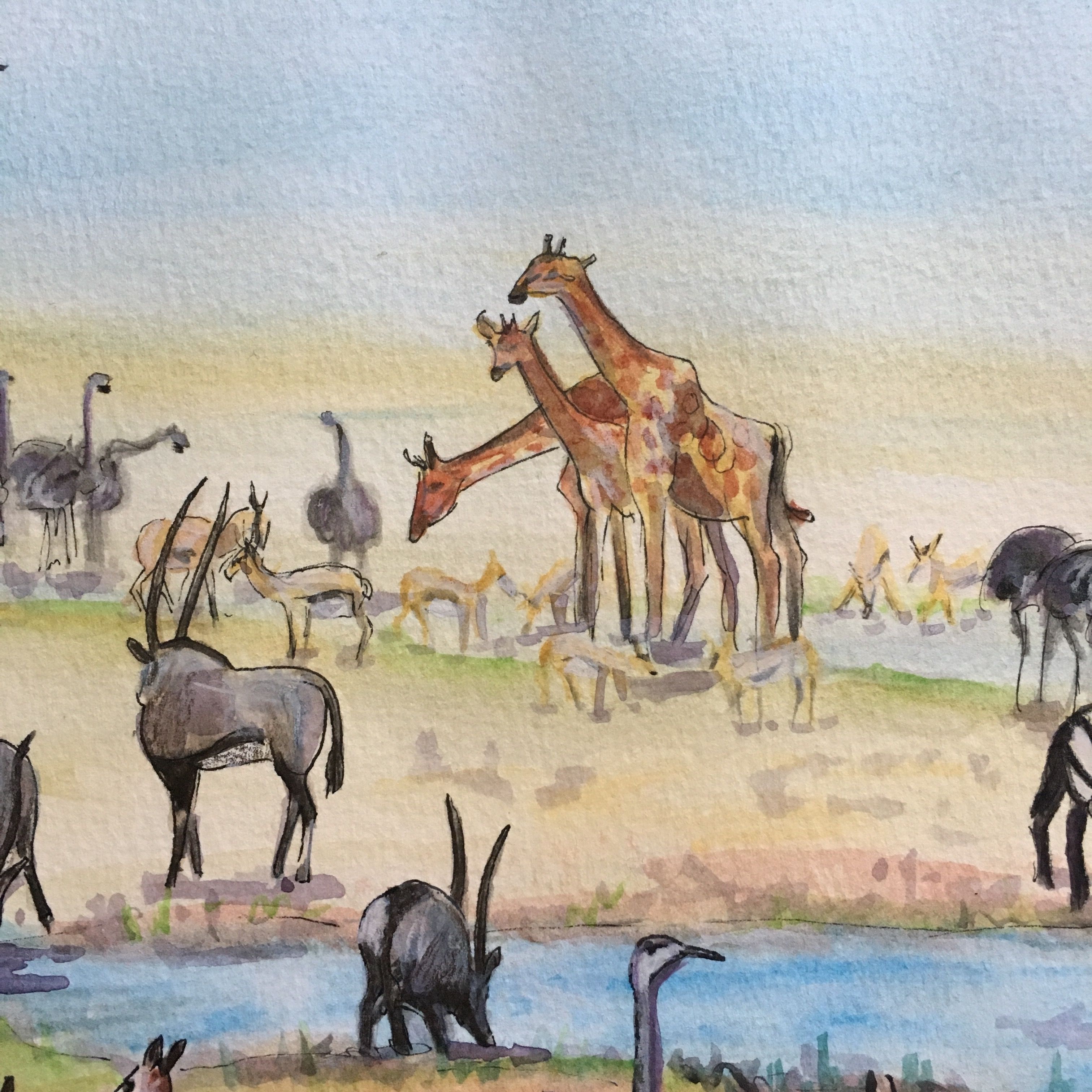 3024x3024 Detail Of Watercolor Painting Showing Giraffes Gathered - African Savannah Painting