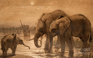 300x188 African Savannah Paintings Fine Art America - African Savannah Painting