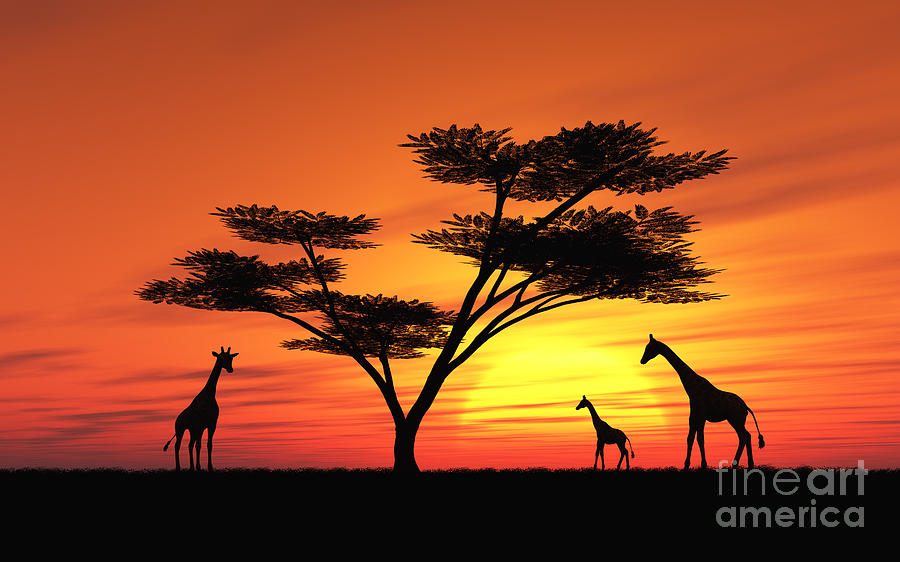 900x562 African Sunset Digital Art By Peter Kirschner - African Sunset Painting