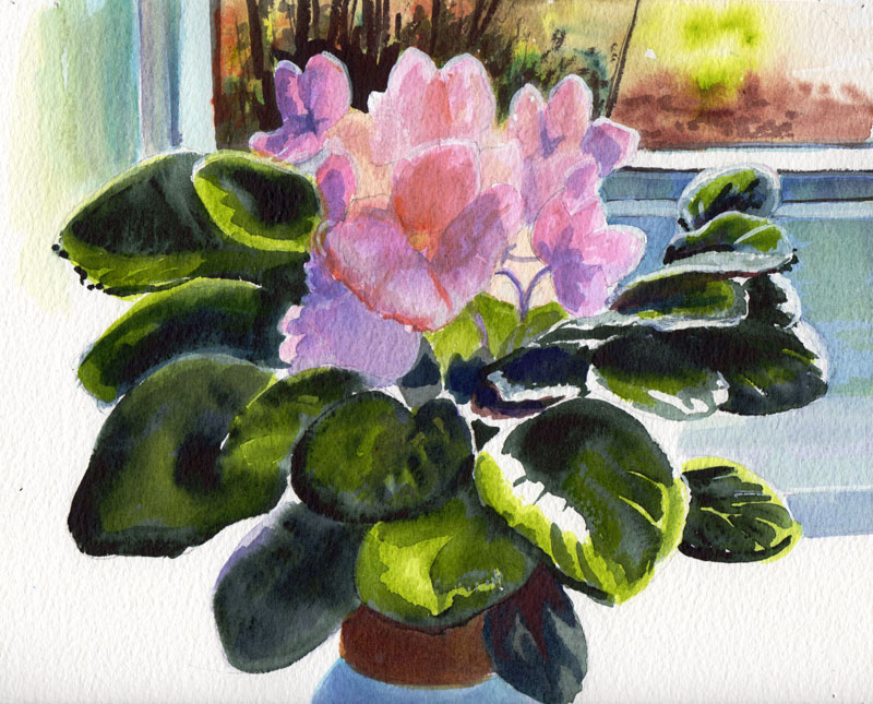 800x645 Bunny's Artwork African Violet In The Sun Original Watercolor - African Violet Painting
