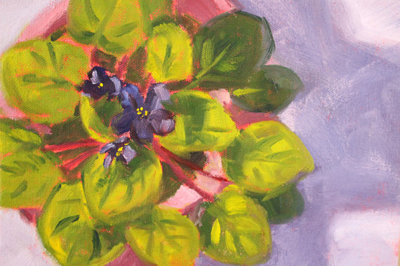 570x380 Still Life Oil Painting African Violet Original Flower - African Violet Painting