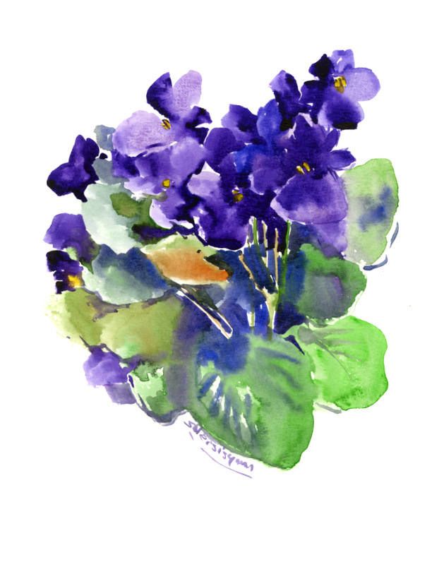 612x820 Violets, Deep Violet, Purple Saintpaulia, Original Watercolor - African Violet Painting