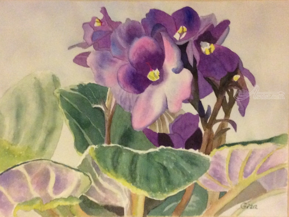 1000x752 African Violet Paintings By Christina Giza - African Violet Painting