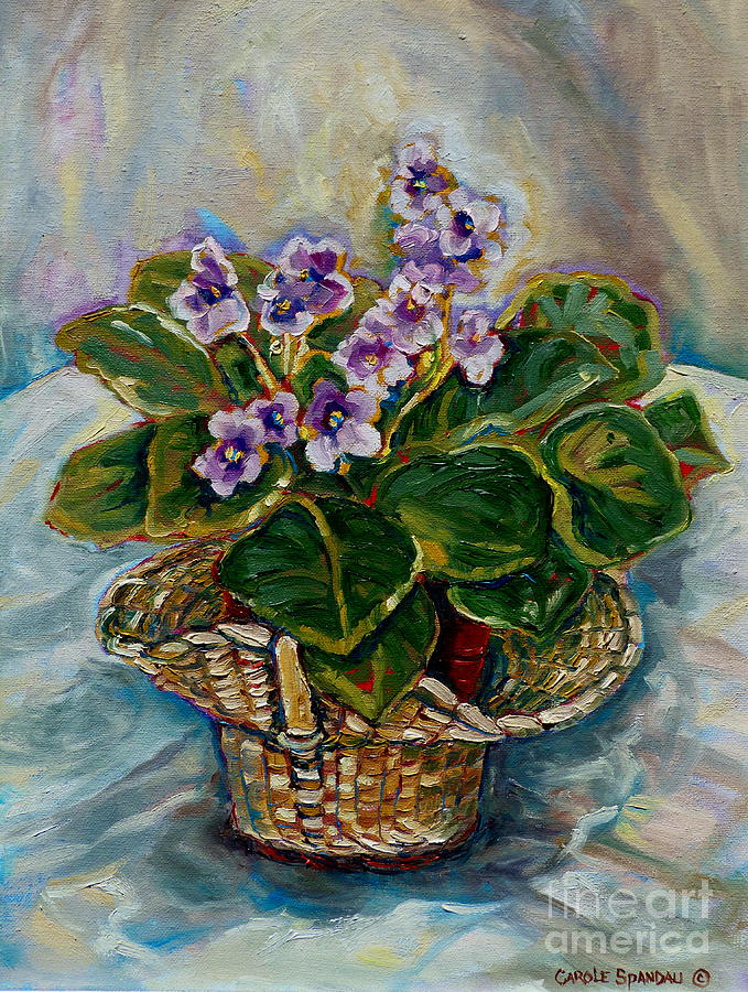 679x900 African Violets Painting By Carole Spandau - African Violet Painting
