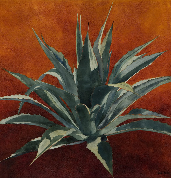 670x700 Tequila Sunrise Ii Agave Painting - Agave Painting