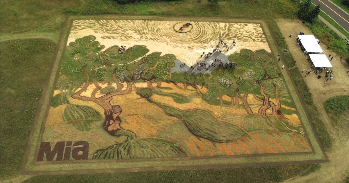 1200x632 Meet Stan Herd, The Man Who Turns Agriculture Into Amazing Works - Agriculture Painting