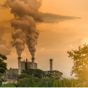 300x300 Painting Of Ancient Kings Wearing Pollution Masks Causes Stir - Air Pollution Painting