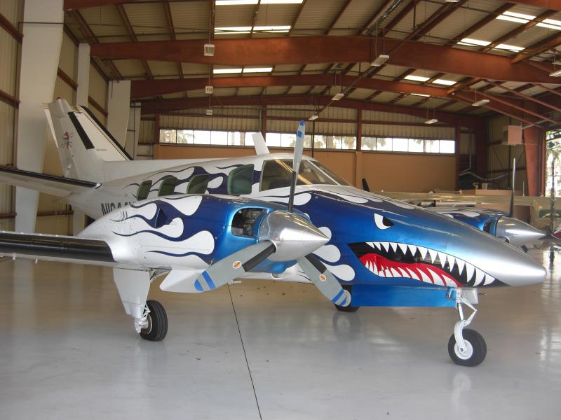 800x600 Century Aircraft Painting - Aircraft Painting