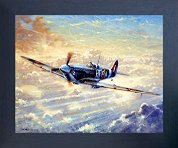 355x296 Spitfire Airplane Painting Military Aviation Wall - Airplane Painting