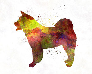 300x240 Akita Paintings Fine Art America - Akita Painting