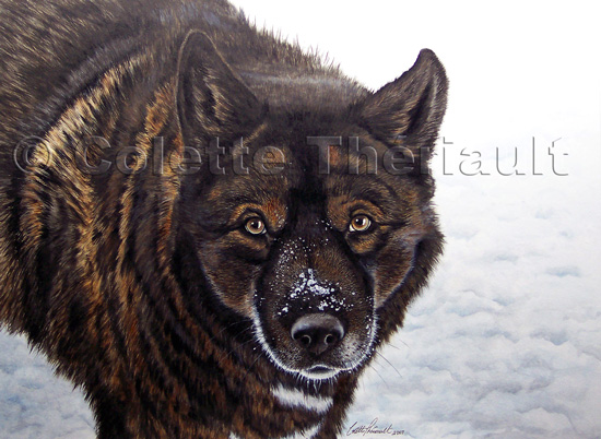 550x402 German Shepherd Akita Dog Painting Pet Portraits Picture Custom - Akita Painting