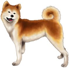 236x232 Hachi Or Hachiko - Akita Painting