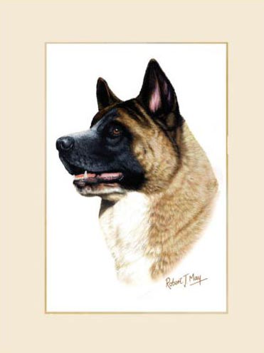 371x495 Original Akita Painting - Akita Painting