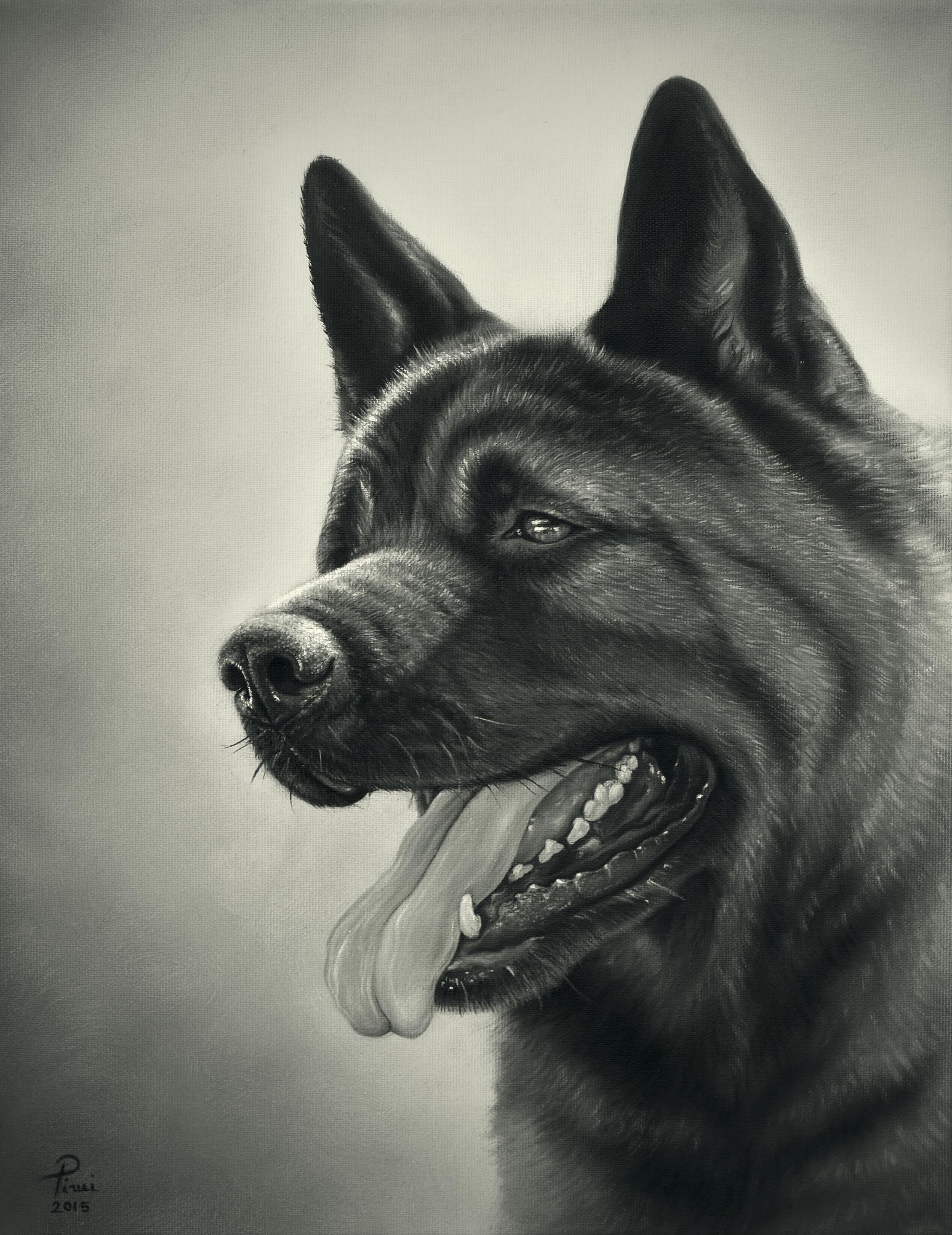 2312x3000 Photorealism - Akita Painting