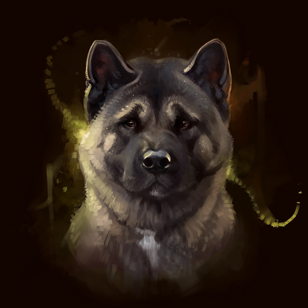 1024x1024 Photos Animals Dogs American Akita Snout Glance Painting Art - Akita Painting