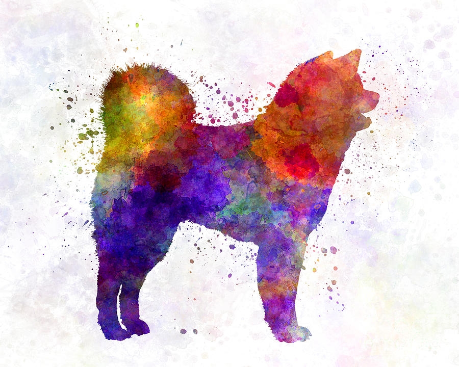 900x720 Akita Inu 01 In Watercolor Painting By Pablo Romero - Akita Painting