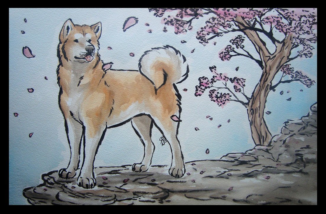 1103x724 Akita Inu By Janaita - Akita Painting