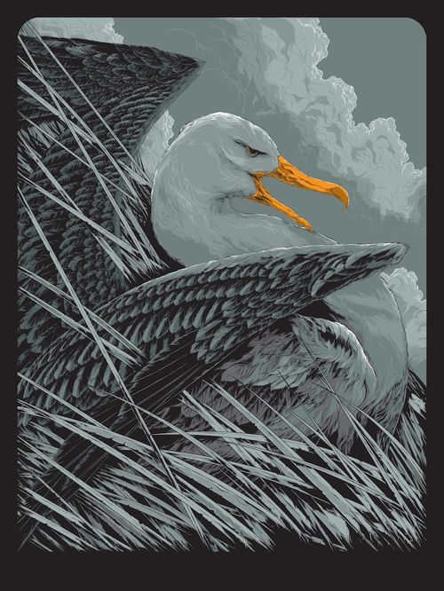 500x666 By Ken Taylor Is X Screenprint, Has - Albatross Painting