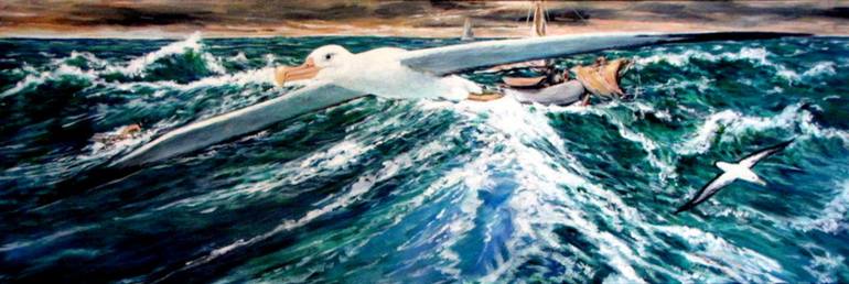 770x258 Saatchi Art Wandering Albatross Painting By Raymond Wittenberg - Albatross Painting