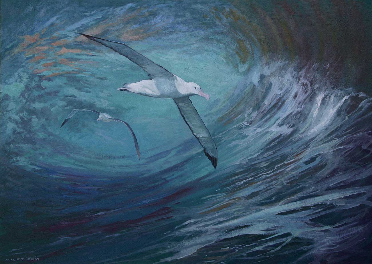 1300x923 Wandering Albatross - Albatross Painting