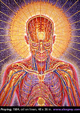 272x382 Alex Grey Visionary Art - Alex Gray Painting