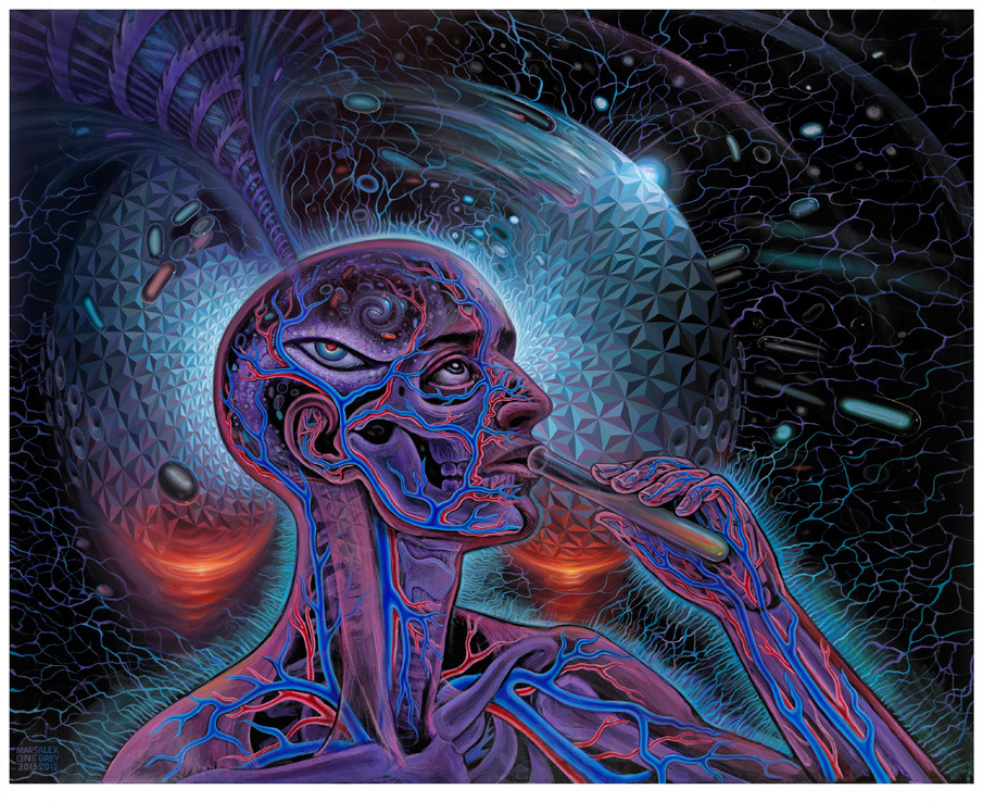 905x738 Psychedelic Spirit Paintings, Alex Grey Art Gallery - Alex Gray Painting
