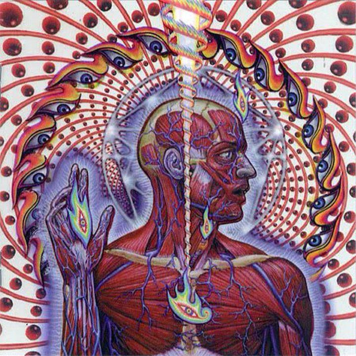 720x720 Alex Grey Art Lt3 Alex Grey, Alex Gray Art And Grey Art - Alex Gray Painting