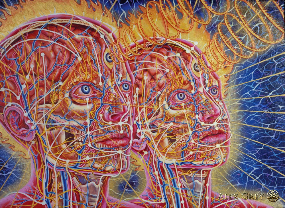 1000x729 Alex Grey How Art Evolves Consciousness Dop - Alex Gray Painting