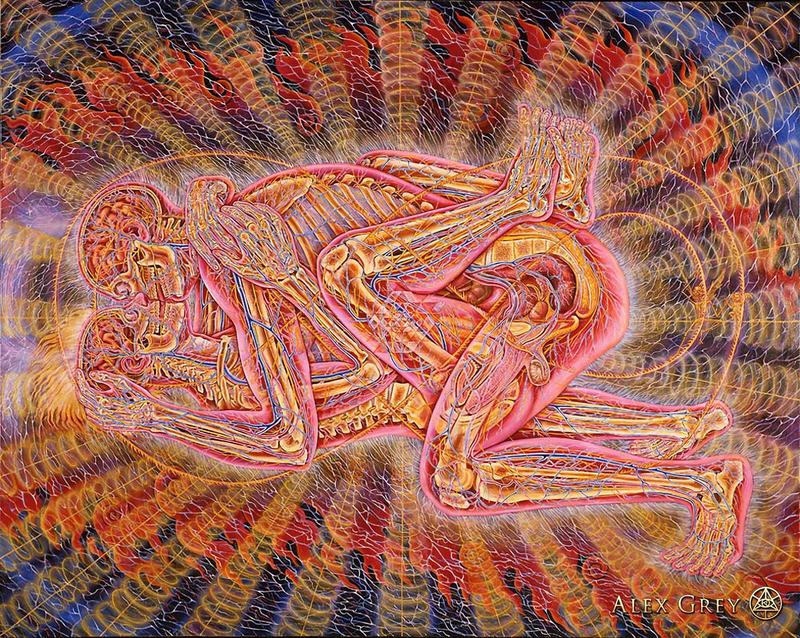 800x638 Artwork By Alex Grey - Alex Grey Painting
