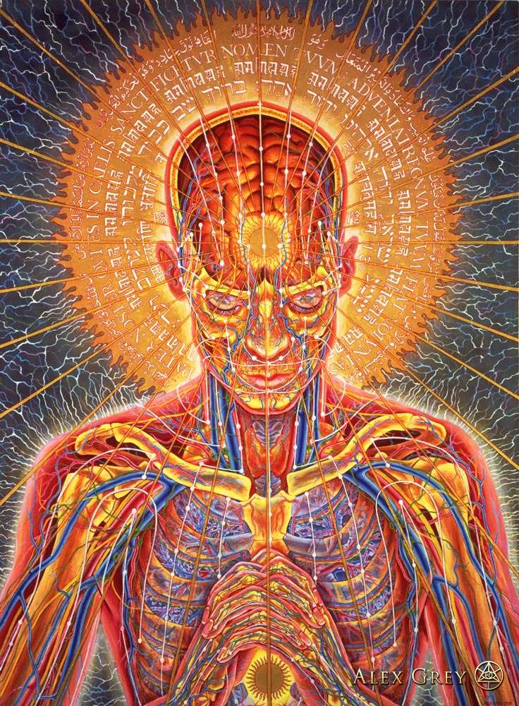 736x1000 Praying - Alex Grey Painting