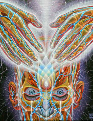368x480 Alex Grey Art For Sale - Alex Grey Painting
