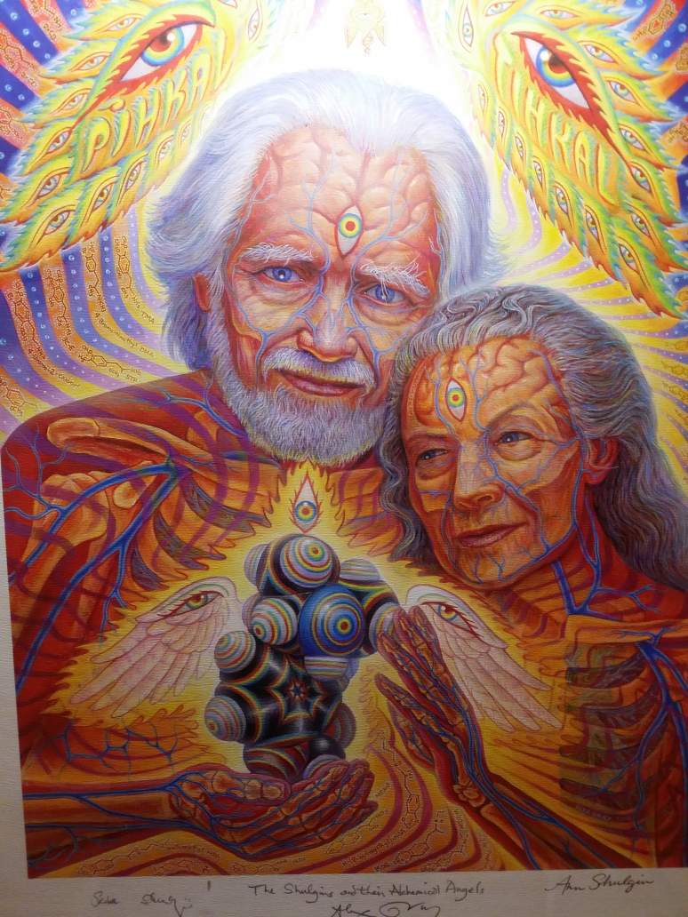 Alex Grey Pictures