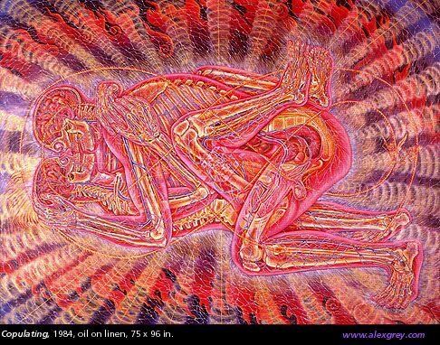 486x382 Alex Grey Beyond Art - Alex Painting