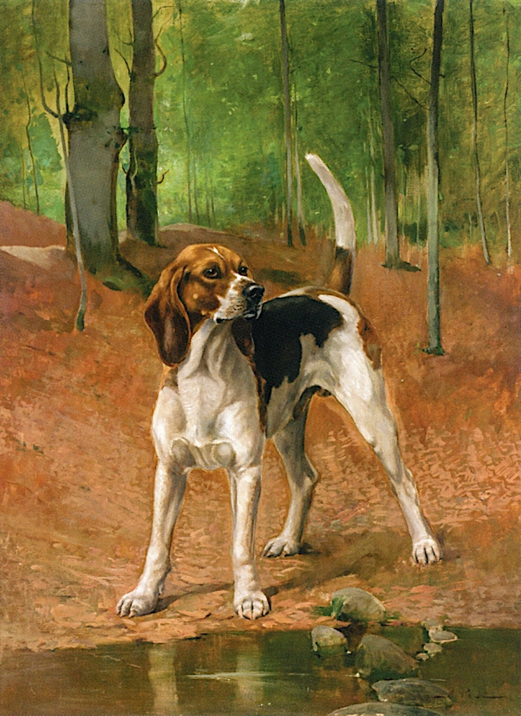 745x1024 Portrait Of A Beagle Painting Alexander Pope Oil Paintings - Alexander Pope Painting