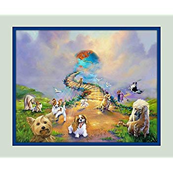 350x350 Rainbow Bridge All Dogs Go To Heaven V 3 11x14 Matted - All Pets Go To Heaven Painting