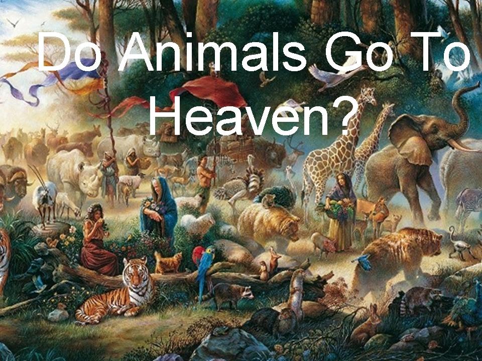 960x720 Do Animals Go To Heaven - All Pets Go To Heaven Painting