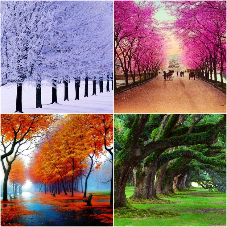All Seasons Painting