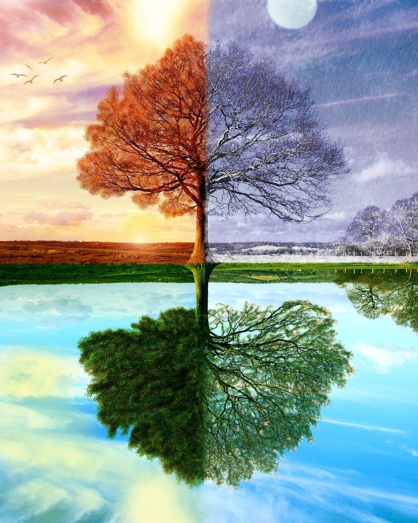 819x1024 All Sizes Four Seasons - All Seasons Painting