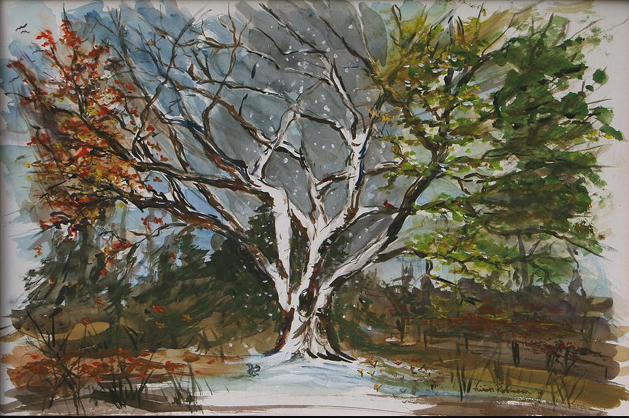 900x599 A Tree For All Seasons Painting By Vivan Robinson - All Seasons Painting