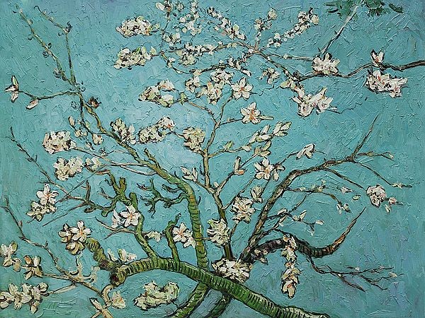 600x450 Branches Of An Almond Tree In Blossom Iii Oil Painting - Almond Blossom Painting