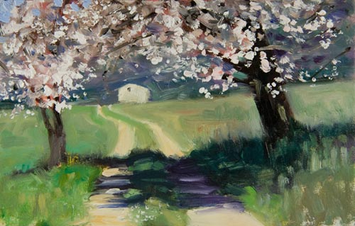 500x319 Daily Paintings Under The Almond Blossom Postcard From Provence - Almond Blossom Painting